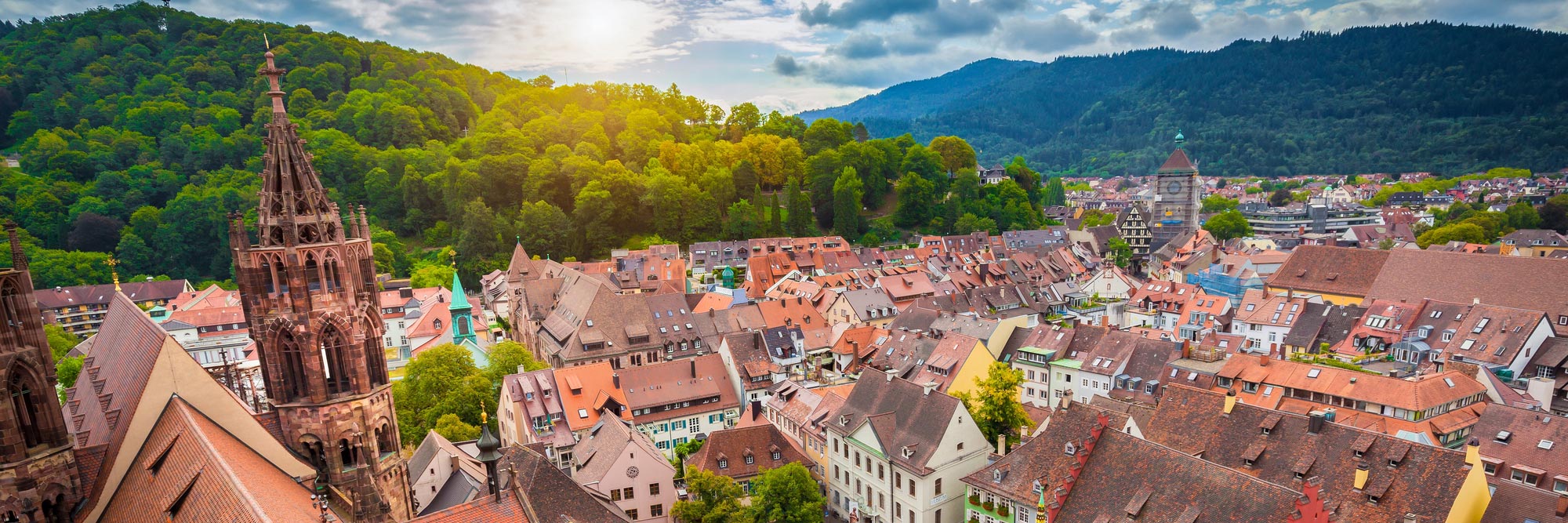 Blick auf Freiburg | Immobilienverkauf Freiburg mit Christian Müller Immobilien